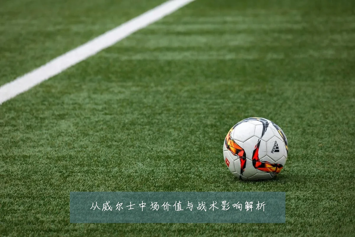 从威尔士中场价值与战术影响解析