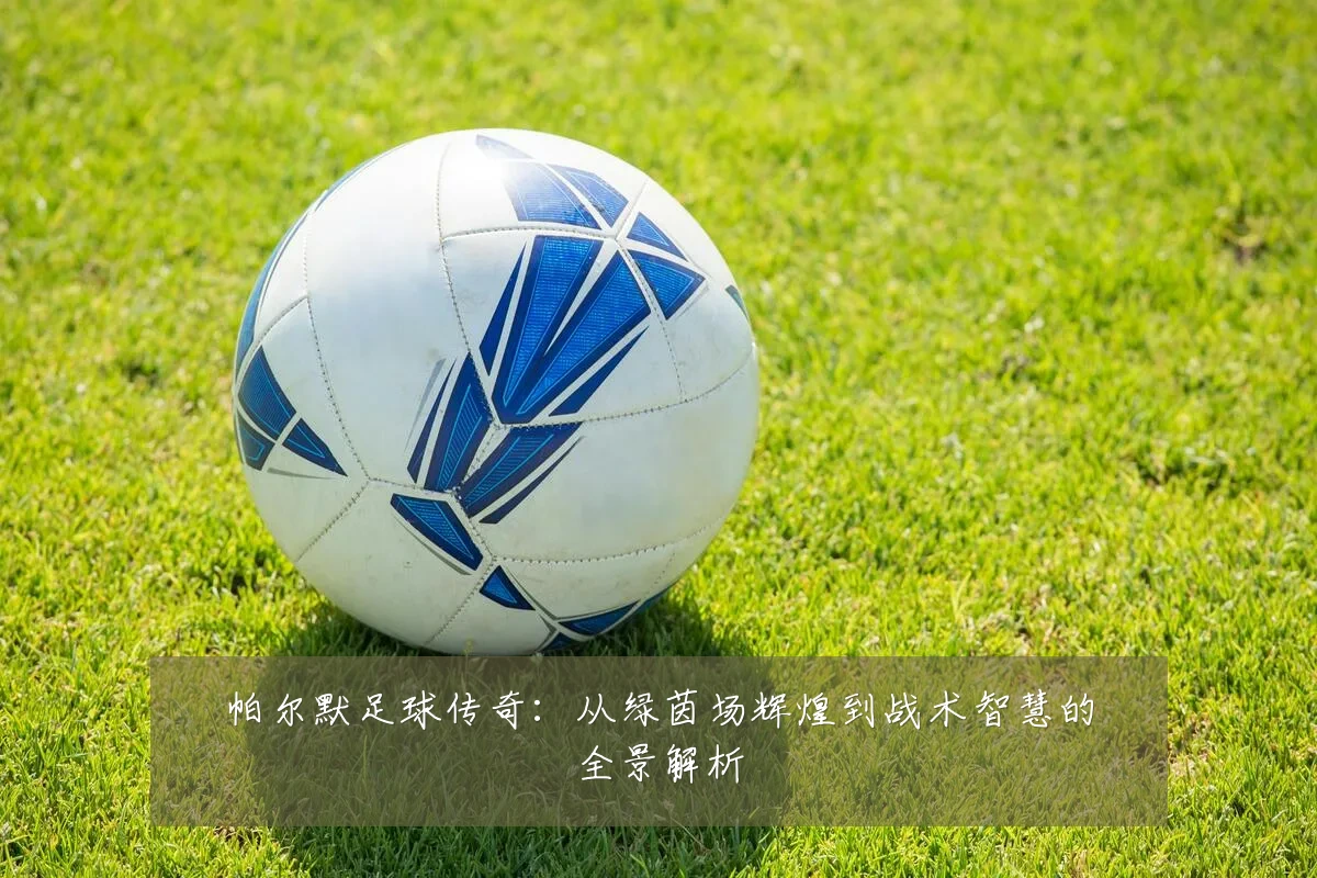 帕尔默足球传奇：从绿茵场辉煌到战术智慧的全景解析